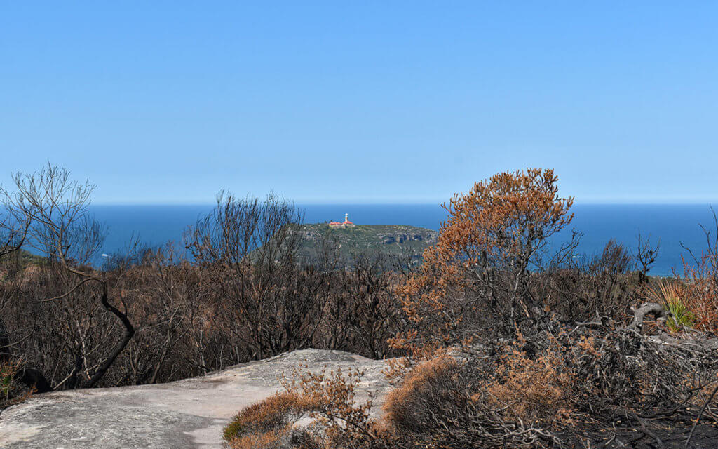 You can see Pittwater from West Head in the Ku-Ring-Gai National Park