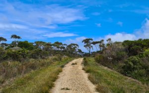 This is my list of the places to go bushwalking in NSW
