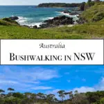 Bushwalking in NSW will take you to some beautiful places